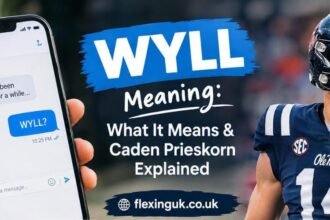 wyll meaning